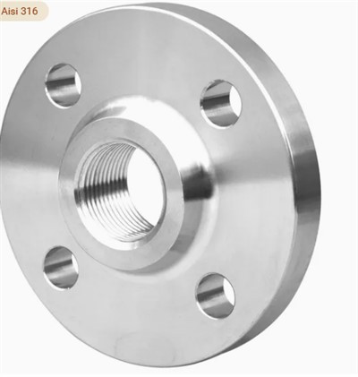 304 316 316L AISI 150 RF FM BSP NPT so závitovou skrutkovou prírubou